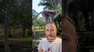 Плюсы Бали часть 2
