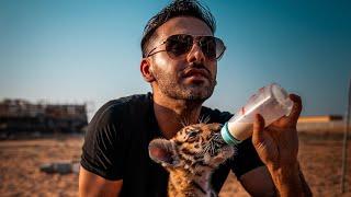 “Save the animals. Save the planet.”  - Saygin Yalcin