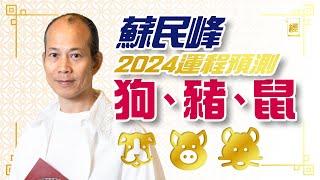 蘇民峰2024年狗豬鼠生肖運程 附犯太歲化解方法 ｜屬狗人緣運佳、屬豬紅鸞星動、 屬鼠易升職 ｜十二生肖｜龍年運程｜2024年運程｜附字幕｜九運｜事業運｜財運｜犯太歲｜香港樓市｜絪緣運