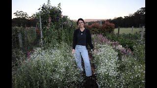 October Cut Flower Farm Tour : Australia : Woodstock Flower Farm