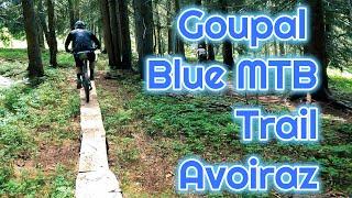 Goupal Blue Northshore MTB trail Avoriaz Bike Park France