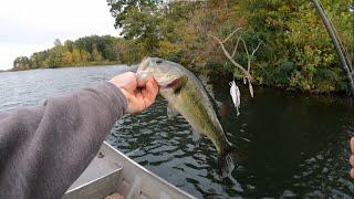 Bass Fishing Glenn Springs Lake with Spinnerbait.  Fall Transition 2023.