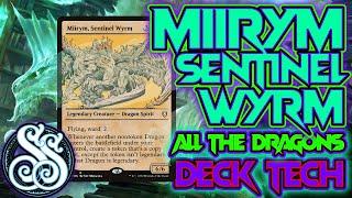 Miirym, Sentinel Wyrm EDH | 2024 Deck Tech | So MANY DRAGONS!!