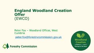 England Woodland Creation Offer (EWCO)