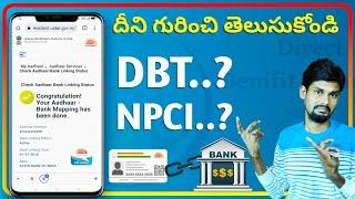 Link Your Bank Account on DBT and NPCI Aadhaar link check online | get government subsidy |in Telugu