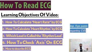 How To Read ECG | How To Calculate Heart Rate, Heart Rhythm On ECG|ECG explained in Urdu | Dr Adnan