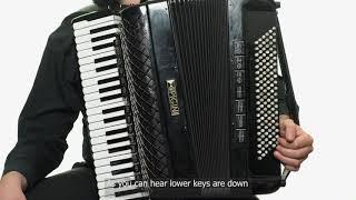 Understanding the Free Bass System on the Accordion