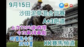 2024年9月15日沙田泥草混合日賽(賠率攻略)