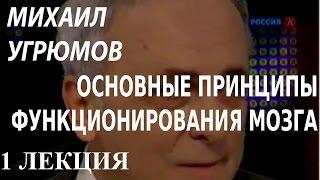 ACADEMIA. Михаил Угрюмов. Основные принципы функционирования мозга. 1 лекция. Канал Культура