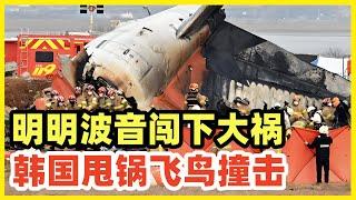 韩国飞机事故又是飞鸟出来背锅！波音737-800的问题只字不提！波音质量缺陷的2个吹哨人，今年全都离奇去世，每个人都知道谁干的！却没有一个大媒体敢正面质疑抨击波音！韩国人更是不敢吱一声！