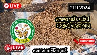 લાઈવ હરાજી મગફળી તળાજા માર્કેટિંગ | મગફળી બજાર ભાવ | 21.11.24 ||#news #farming #apmc #live #food