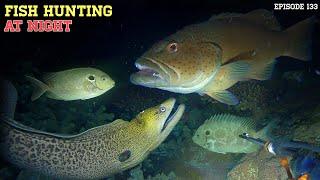 NIGHT SPEARFISHING EPISODE 134 | FISH HUNTING AT NIGHT