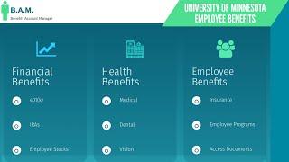 University of Minnesota Employee Benefits | Benefit Overview Summary