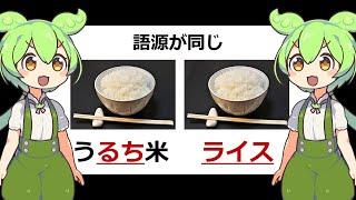 英語 rice と日本語「うるち米」の語源は同じらしい -遍歴語とオーストロアジア語族の謎- #ずんだもん解説