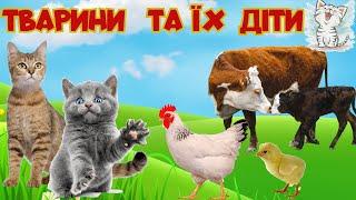 Домашні тварини та їх дитинчата для дітей. Розвиваюче відео українською мовою