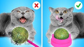 猫用マストなガジェット！ラ・ラ・ライフGamesの両親にバレないようにペットを隠す方法