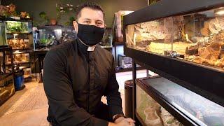 The Most INCREDIBLE Naturalistic Fish and Reptile Room EVER (Tour)