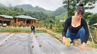 Hoa has renovated the vegetable garden into large vegetable beds to grow watermelons-Farm life