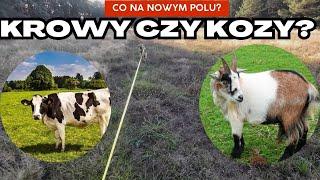 Nowe pole - kawał ziemi do użytku