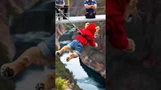 The lion cub tries bunjee jumping ₹shorts #funny #cute