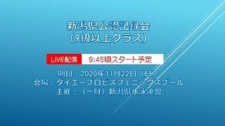 新潟県水泳連盟公認記録会９級以上