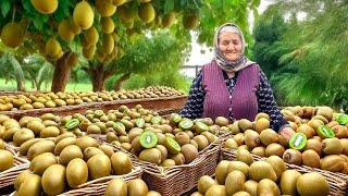 Fresh Kiwi Harvest for Winter: Making Lots of Kiwi Jam and Cake in the Village!