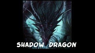 Dungeons and Dragons: The Shadow Dragon