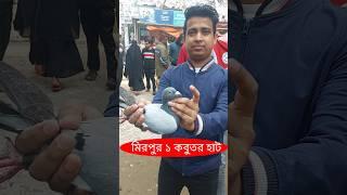 কবুতর হাট মিরপুর ১ | Kobutor Hat Mirpur 1 #কবুতর #kobutor #kabutar #pigeon #shorts #youtubeshorts