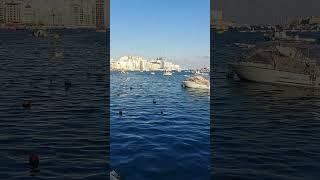 Sliema Ferry#travel