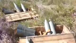 Боевые бобры