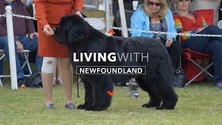 LIVING WITH NEWFOUNDLAND DOGS