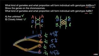 Chromosomal cross-over