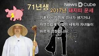 [최삿갓 운세]  2017년 올해 나의 운세는? 돼지띠편