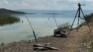 BURSA ULUABAT GÖLÜNDE ZİLLER SUSMADI,,,SAZANLAR ÇILDIRDI!!!