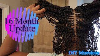 DIY Microlocs | 16 MONTH UPDATE | Loc Journey | Interlocks