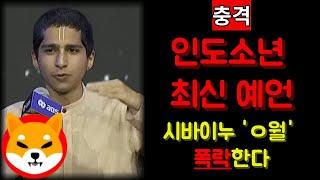 [충격] 시바이누 'ㅇ월'에 폭락한다... 인도소년 최신 예언