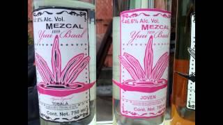 Mezcal, Tobala, Tequila & Bacanora - Rare Agave Liquors of Mexico