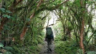 Milford Track 13-16/01/2023