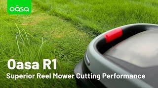 Oasa R1 Superior Reel Mower Cutting Performance Demo