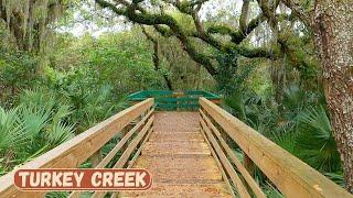 Hike the Turkey Creek Sanctuary Park