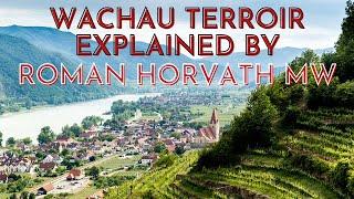 Wachau Terroir Explained by Roman Horvath MW | Wine Ghosts Podcast Ep. 56.