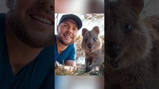 Quokka Selfie!