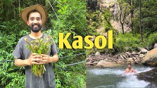 THINGS TO DO IN KASOL | KASOL MARKET | MINI ISRAEL KASOL | NATURAL SWIMMING | ORGANIC VEGETABLE