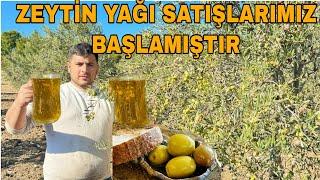 ZEYTİN YAĞI SATIŞIMIZ BAŞLAMIŞTIR~DEDE'DEN TORUNA 3 KUŞAK ZEYTİNCİLİK