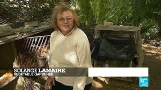 The marshes of Bourges in France's Loire Valley • FRANCE 24 English