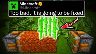 Minecraft Bugs Players DON'T Want Mojang To Fix...