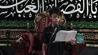 الشبل الحسيني ياسين الرويعي | يا حميده