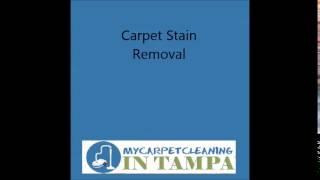 Commercial Carpet Cleaning in Land O Lakes