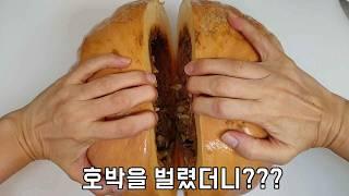 늙은호박을 잘랐는데 이럴수가 ????