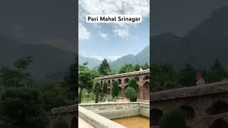 Pari Mahal Srinagar | Kashmir | #parimahal #srinagar #jammukashmir